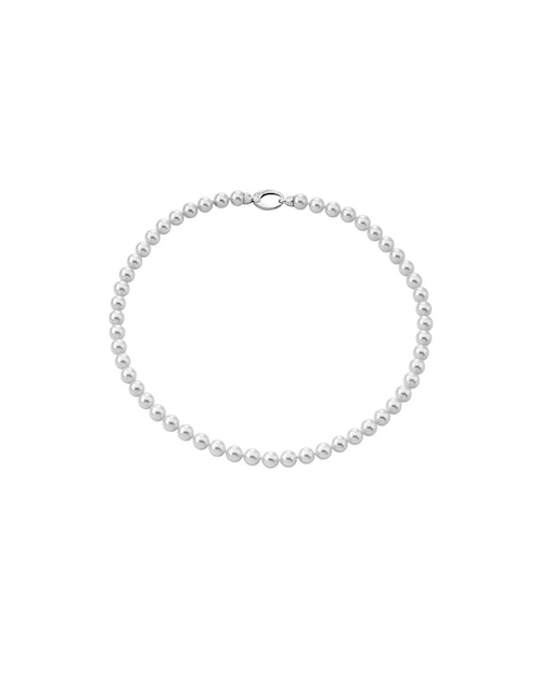 Collar 1