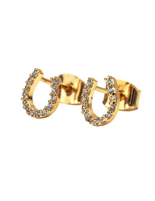 Aretes Luckyly con acabado brillante