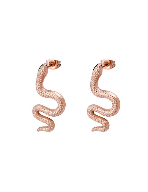 Aretes con acabado brillante