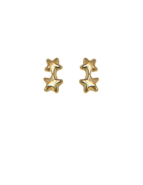 Aretes Sofia Blum de oro con acabado brillante
