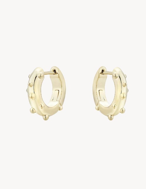 Aretes redondos Apodemia Dragonfly con acabado baño de oro