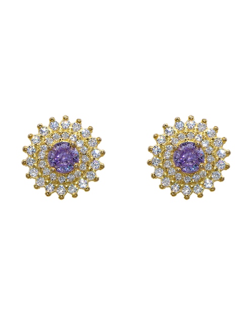 Aretes circulares Pavé Amatista de plata P 925 con acabado pavé zirconia 1