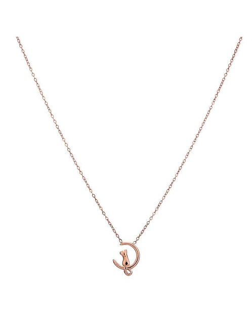 Collar de gato Enso