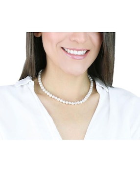 Collar Anthony Vincent