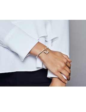 Charm Pandora zirconia cúbica