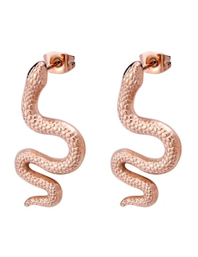 Aretes Enso con acabado brillante