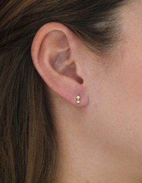Aretes Sofia Blum de oro con acabado brillante