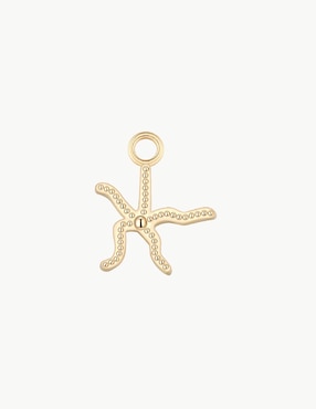 Charm De Estrella Apodemia Sea Creatures