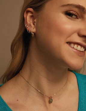 Charm Apodemia classic