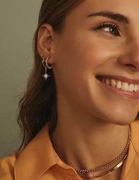 Aretes redondos Apodemia Classic con acabado baño de oro