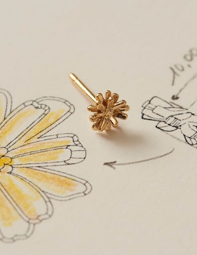 Aretes de flor Apodemia Fauna & Flora con acabado baño de oro