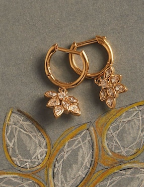 Aretes de aro Apodemia Suculenta con acabado baño de oro circonita