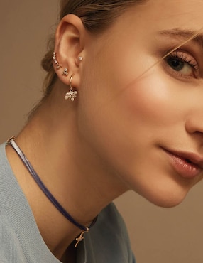 Aretes de aro Apodemia Suculenta con acabado baño de oro circonita