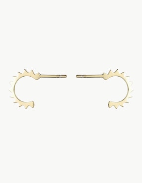 Aretes de aro redondos Apodemia Classic con acabado baño de oro