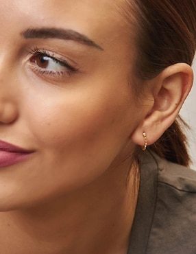 Aretes de aro redondos Apodemia Classic con acabado baño de oro