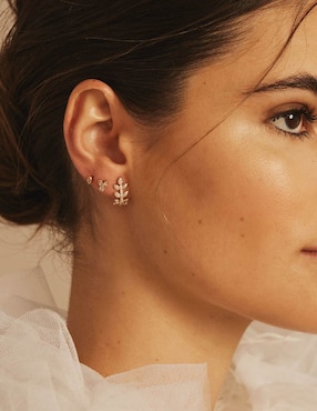 Aretes Apodemia Suculenta con acabado baño de oro circonita