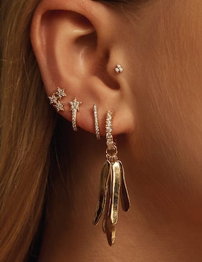 Aretes de aro redondos Apodemia Classic con acabado baño de oro circonita
