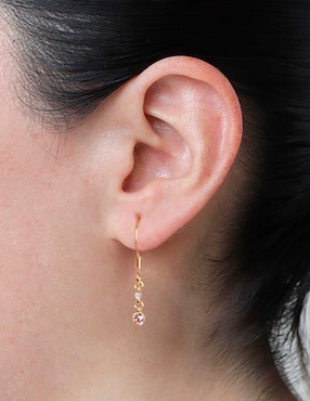 Aretes redondos Westies Estacional con acabado brillante cristal