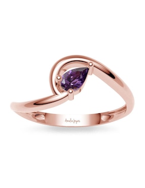Anillo Amelie Joyas 14 k de oro zirconia brillante