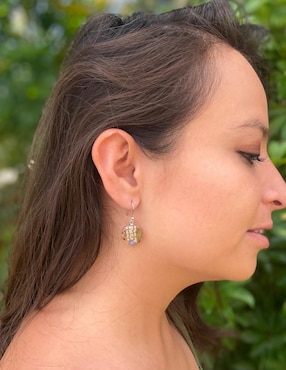 Aretes redondos Petick Naturaleza Encapsulada de plata P 925 con acabado brillante resina