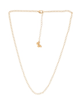 Cadena Apodemia de baño de oro 18 K