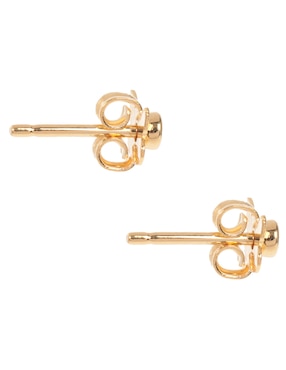 Aretes redondos Apodemia Classic con acabado baño de oro circonita