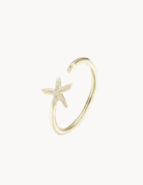 Anillo De Estrella Apodemia Somers