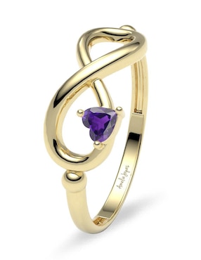 Anillo de corazón Amelie Joyas 14 k de oro zirconia brillante
