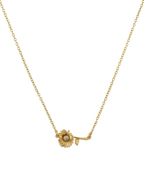 Collar De Flor Coach 3.1 Daisy