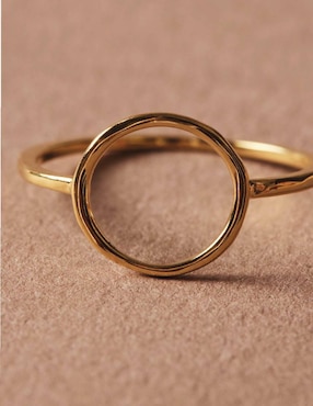 Anillo Apodemia Humpback brillante
