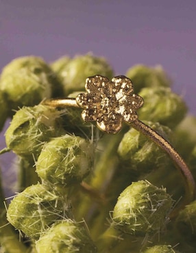 Anillo de flor Apodemia Zinia Chica brillante