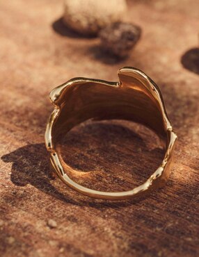 Anillo Apodemia Fantasia brillante