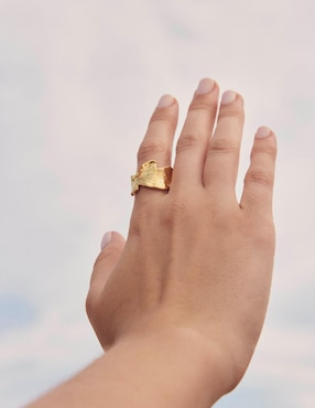 Anillo Apodemia Fantasia brillante