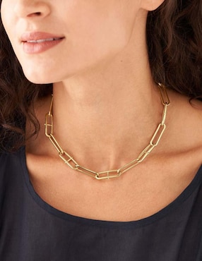 Collar Fossil Heritage