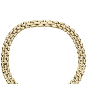 Collar Fossil Arden