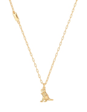 Collar Coach 11.1 Brushed Charming Charms