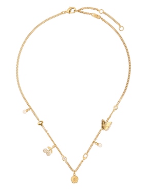 Collar Coach 12.1 Pave Icons
