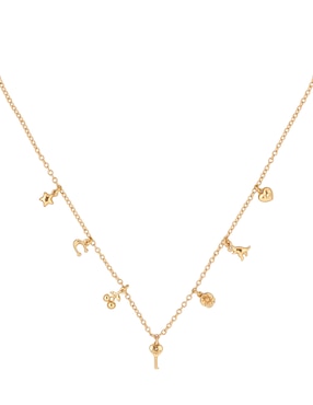 Collar Coach 12.1 Charming Charms