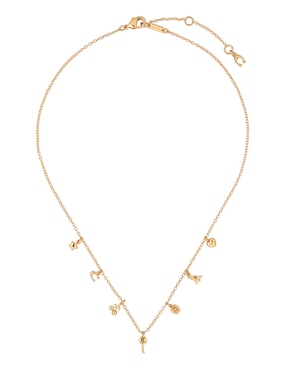 Collar Coach 12.1 Charming Charms
