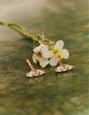 Arete corto Apodemia Olivia Wild de oro 18k con acabado brillante