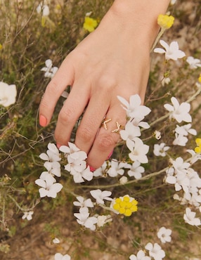 Anillo geométrico Apodemia Olivia Wild circonita con acabado baño de oro 18 k