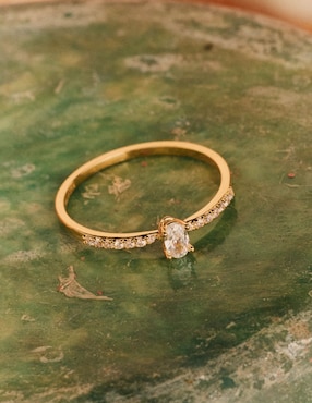 Anillo circular Apodemia Olivia Wild circonita con acabado baño de oro 18 k