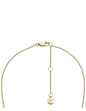 Collar Fossil Sadie
