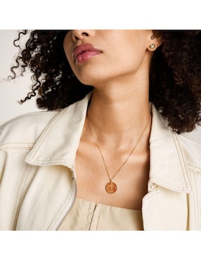 Collar con dije de signo zodiacal Fossil Written In The Stars