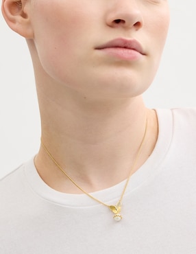 Collar de mariposa coach