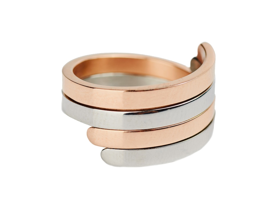 Anillo de serpiente pulido