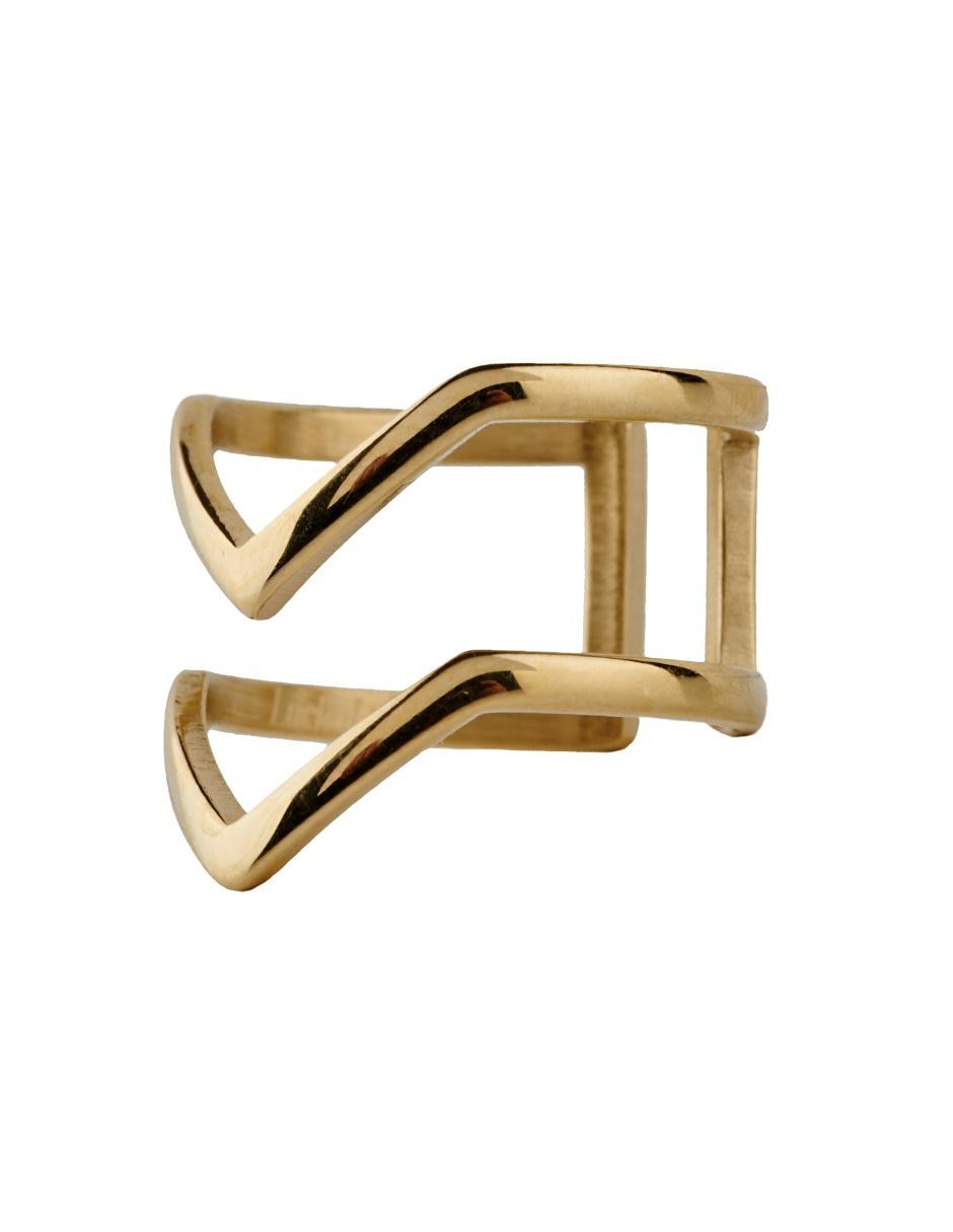 Anillo pulido 4