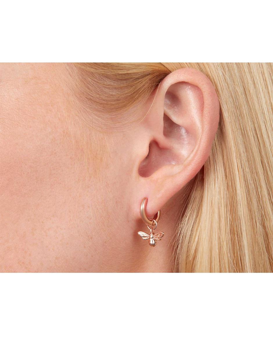 Aretes de plata con acabado brillante 2