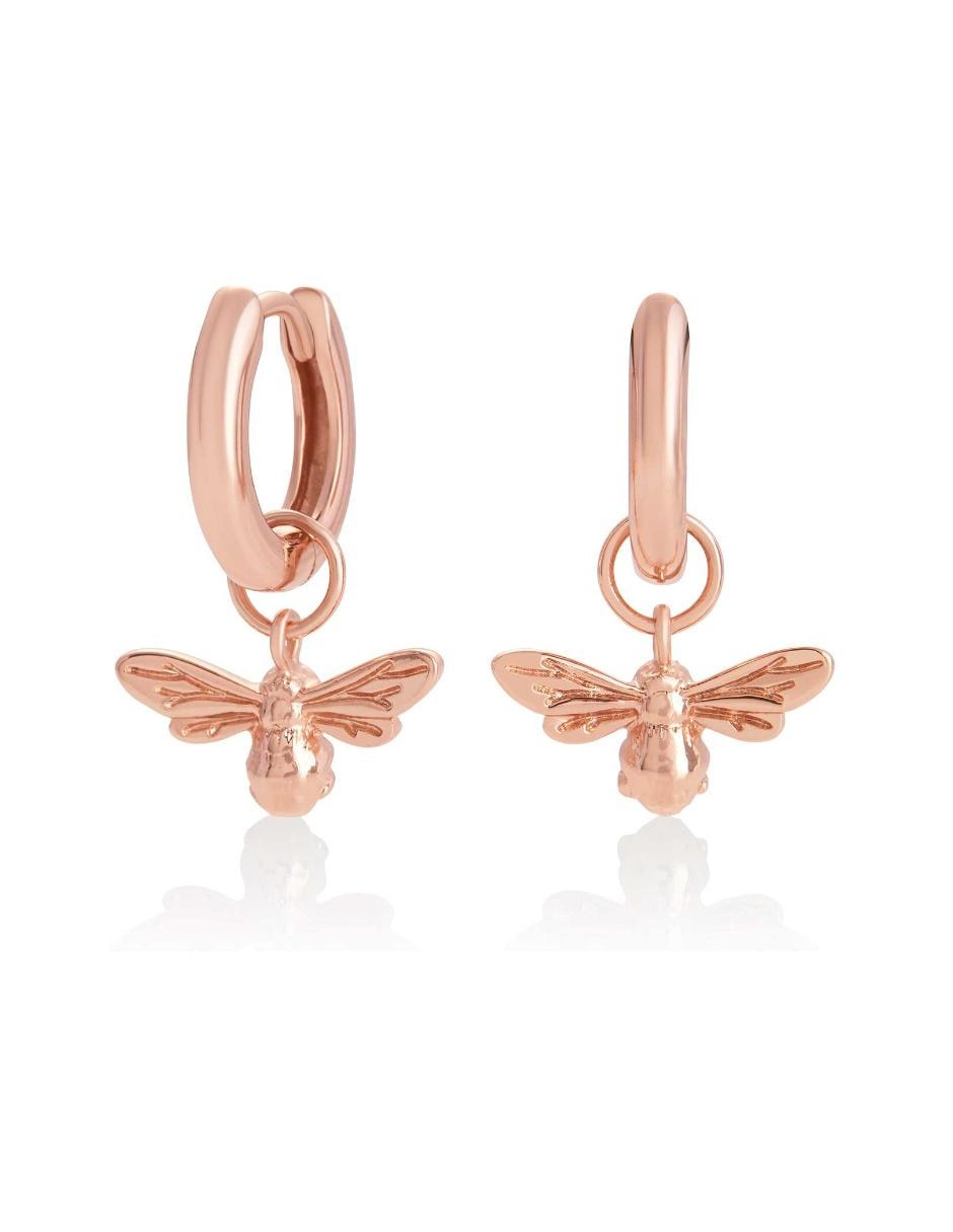 Aretes de plata con acabado brillante 3