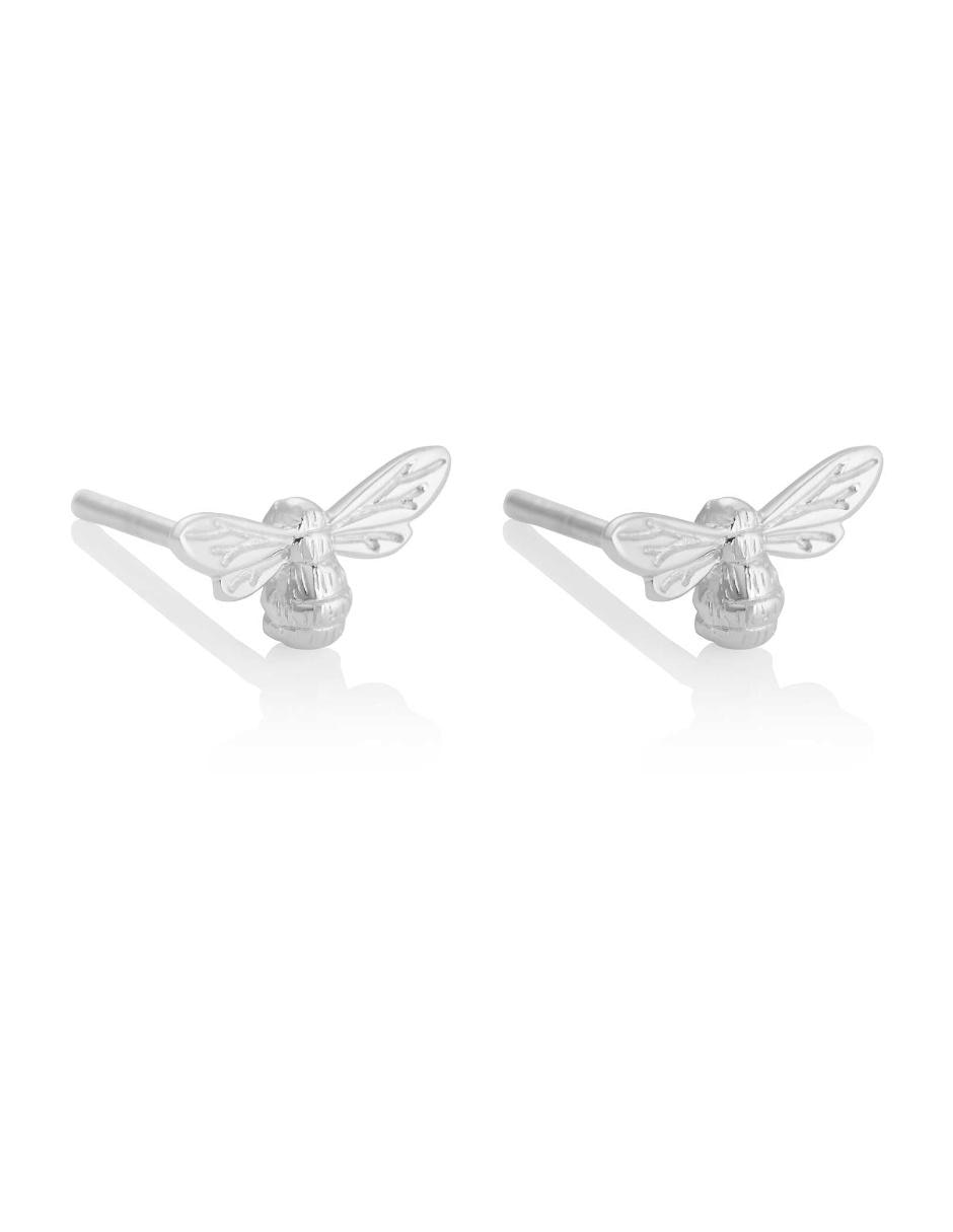 Aretes de plata con acabado brillante